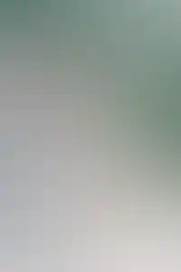 <p>ㅤ</p>